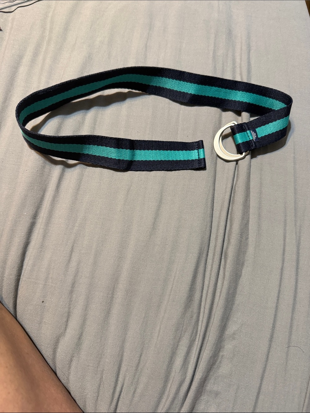 Striped Navy and Teal Webbing Belt with Double D-Ring